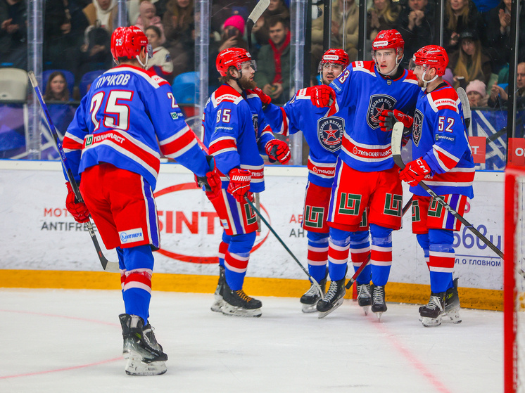    Фото: пресс-служба АКМ Тульской области