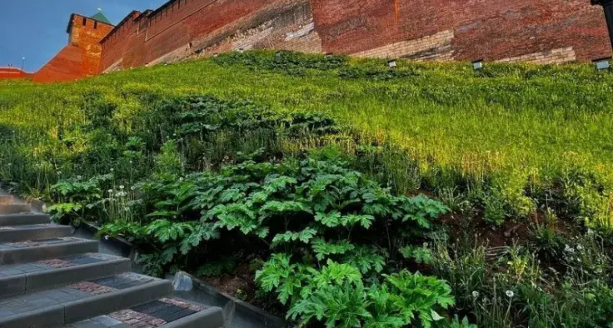    Владислава Лебедева с сайта xn--80ajchbgb0ac6bd4e.xn--p1ai