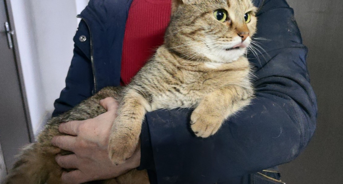    Фото: ПроГород