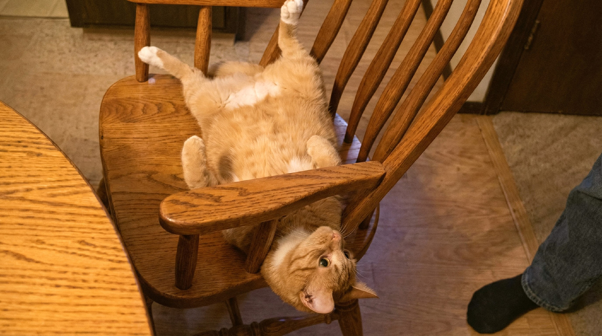 Ну да, я немного застрял, но на то мы и друзья, чтобы помогать друг другу!