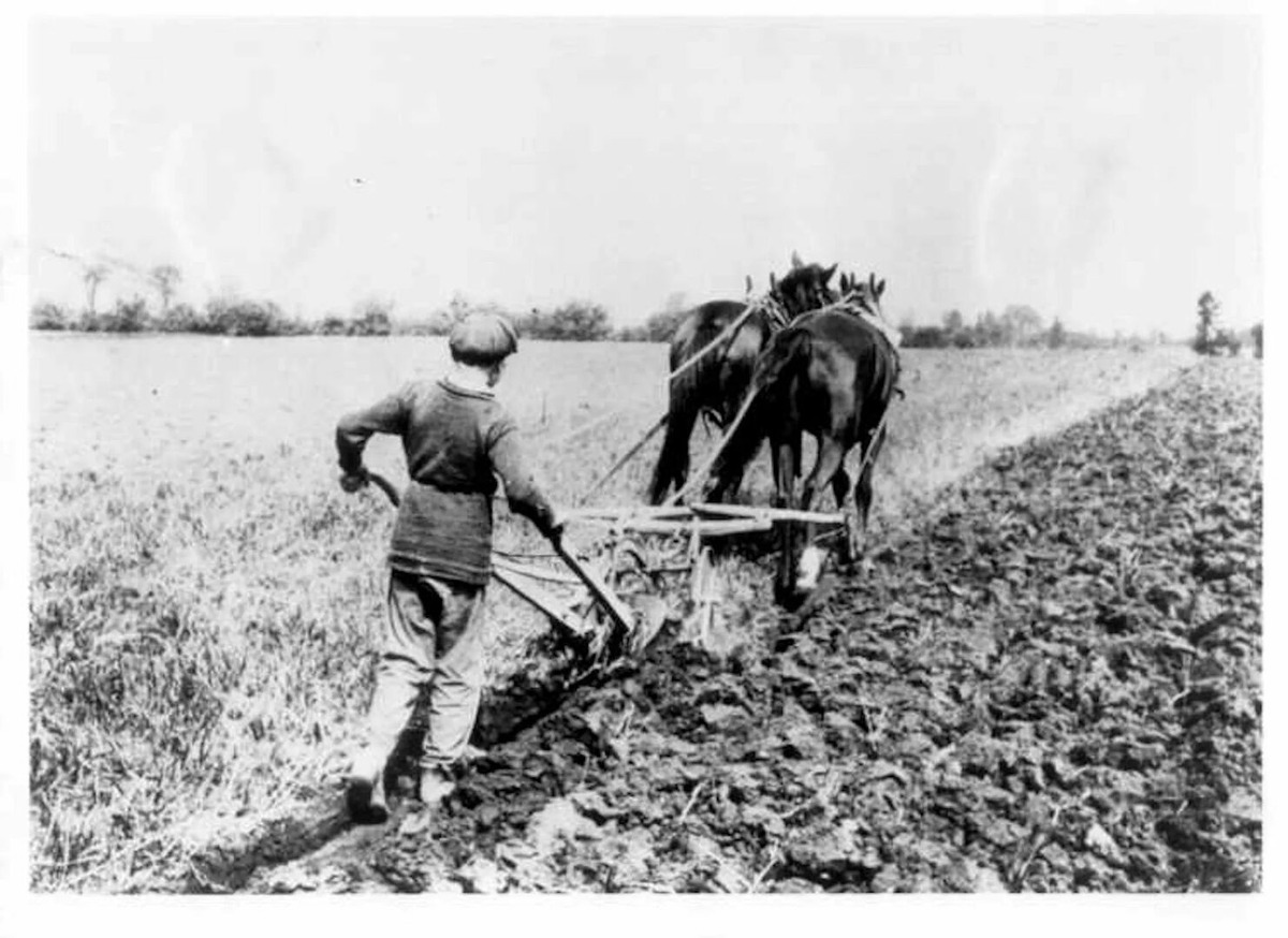 Взято из открытых источников интернета Яндекс.