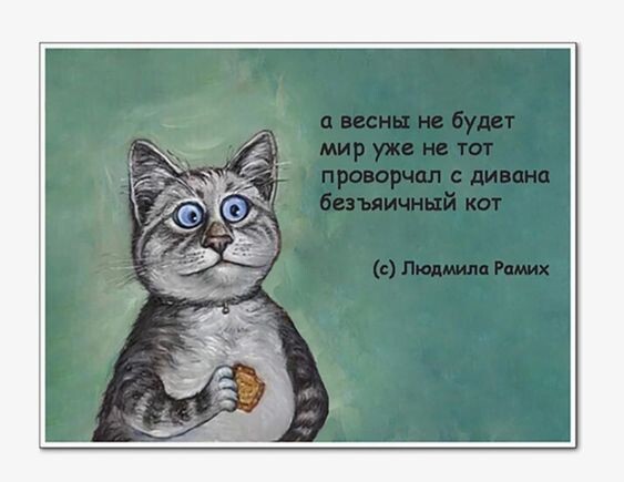 Вот так мои мальчики скажут!😃