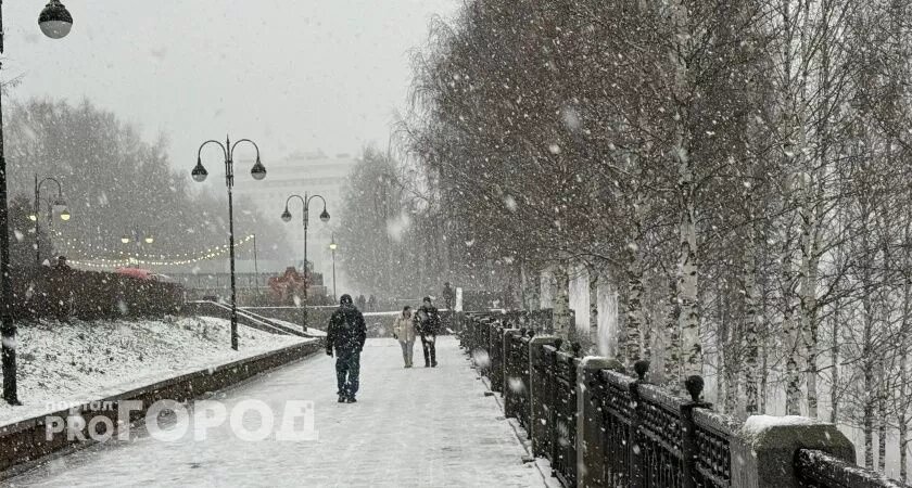    Фото progorod43.ru