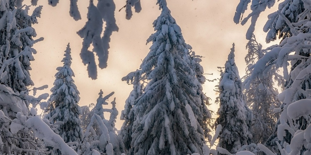 ФОТОГРАФ Алёна Солдатова | Россия