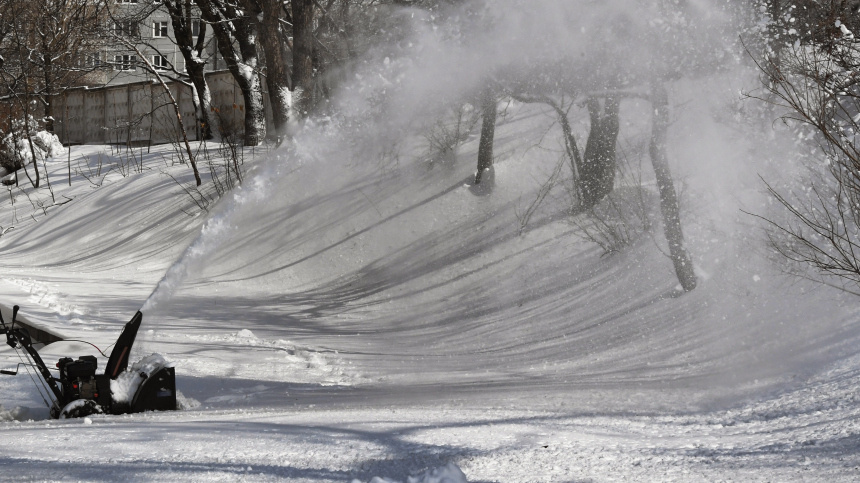    Фото: © РИА Новости/Виталий Аньков; 5-tv.ru