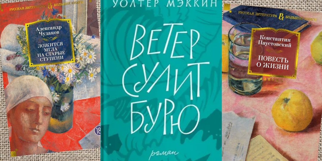 6 самых впечатливших прочитанных книг 2025 (крутые и дурные: пожалела, что на некоторые тратила время)