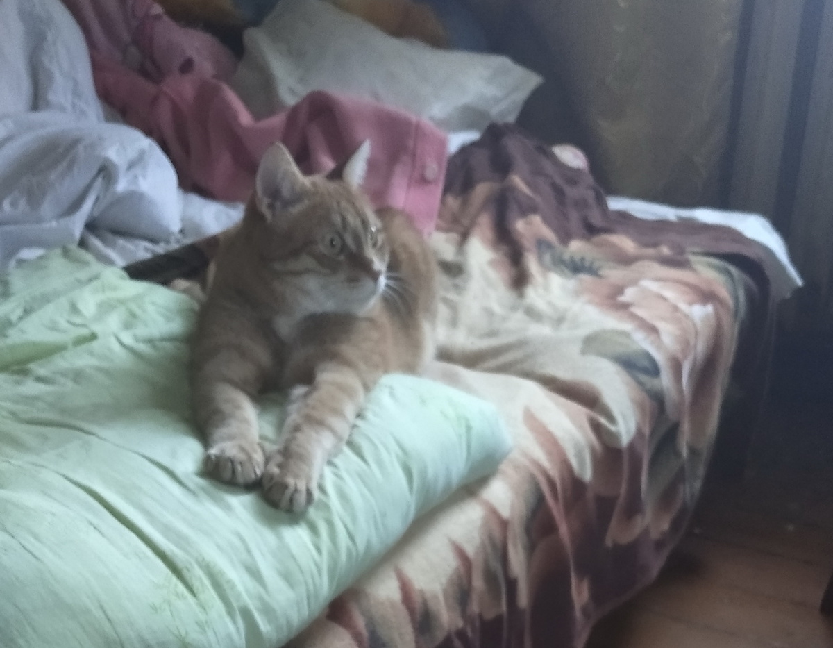 личное фото