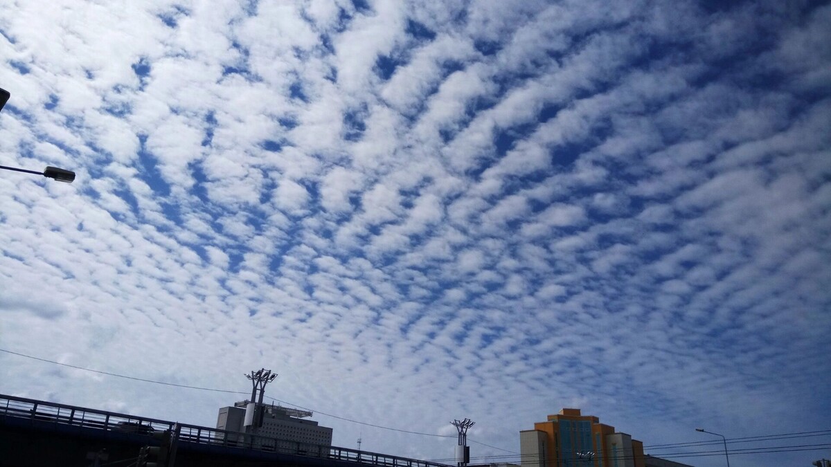    Срочно в безопасное место! В Ростовской области объявили ракетную опасность   1MI