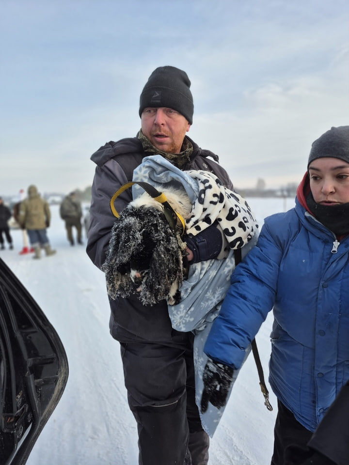 Поймали очередного страдальца