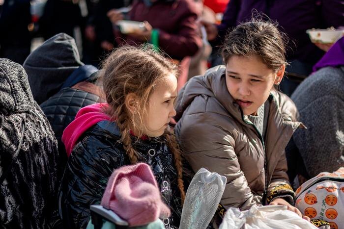 Обложка © Shutterstock / FOTODOM / Sodel Vladyslav