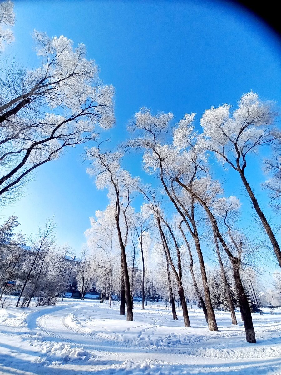 Все фото в статье - мои