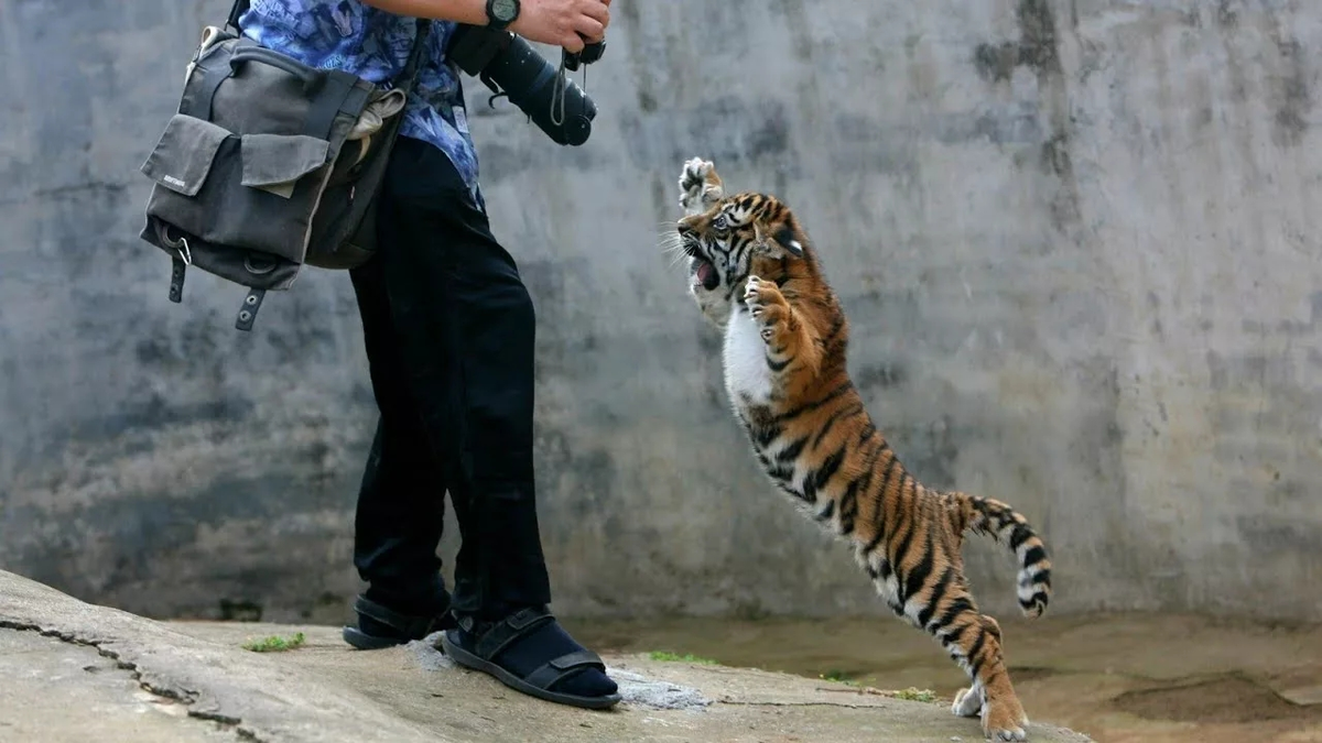 ������, ������ �� �� ������� ���������� � �����!