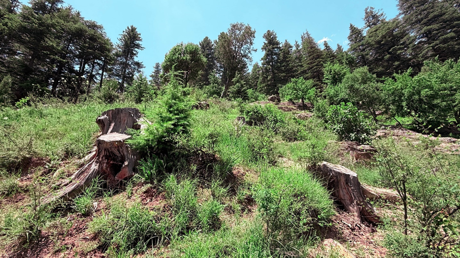 ФОТО: ФАО/Азатуллах Сахил