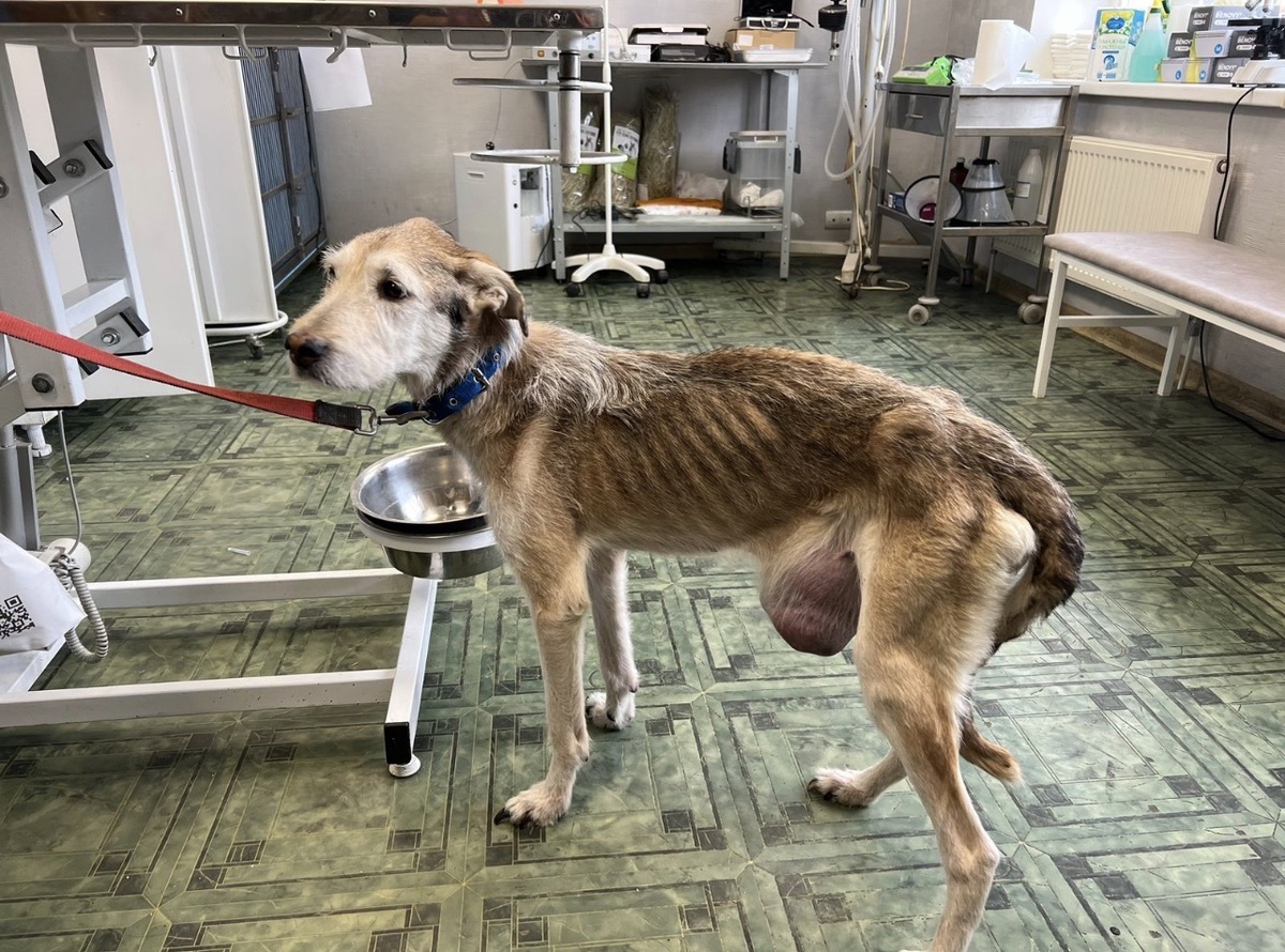 Джуля в феврале 2023 г. 