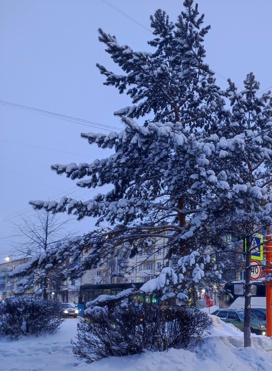 Фото автора 