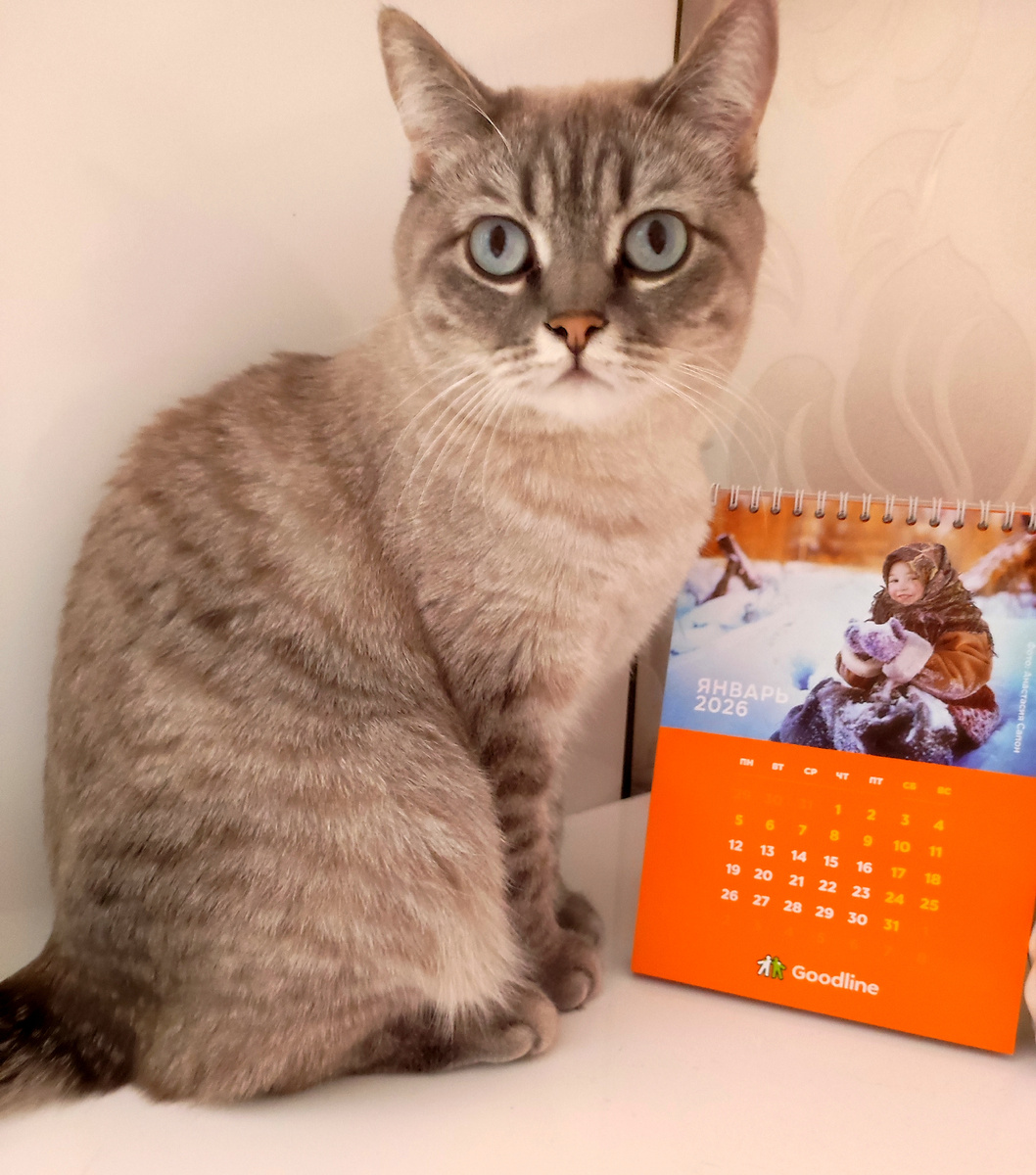 Следит за мной))