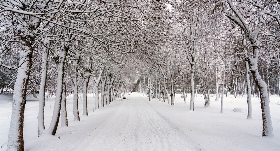    Медиасток.рф