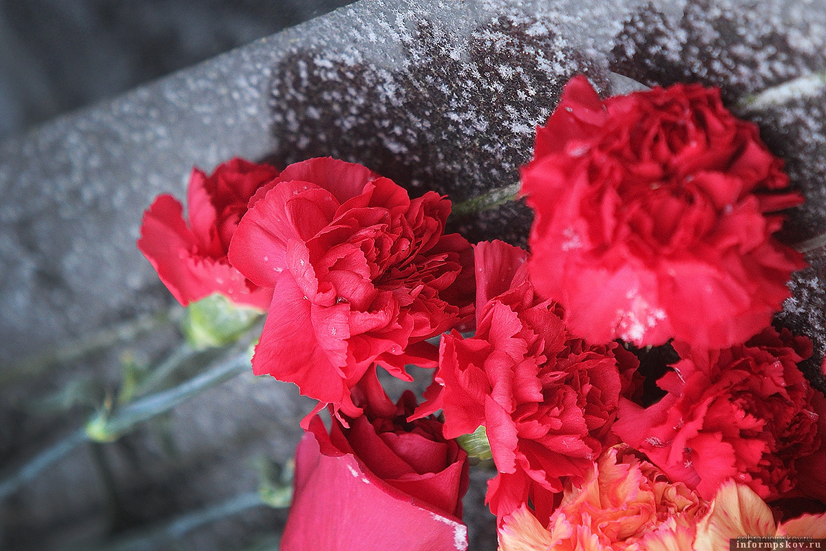 Фото: пресс-служба Псковского областного Собрания депутатов