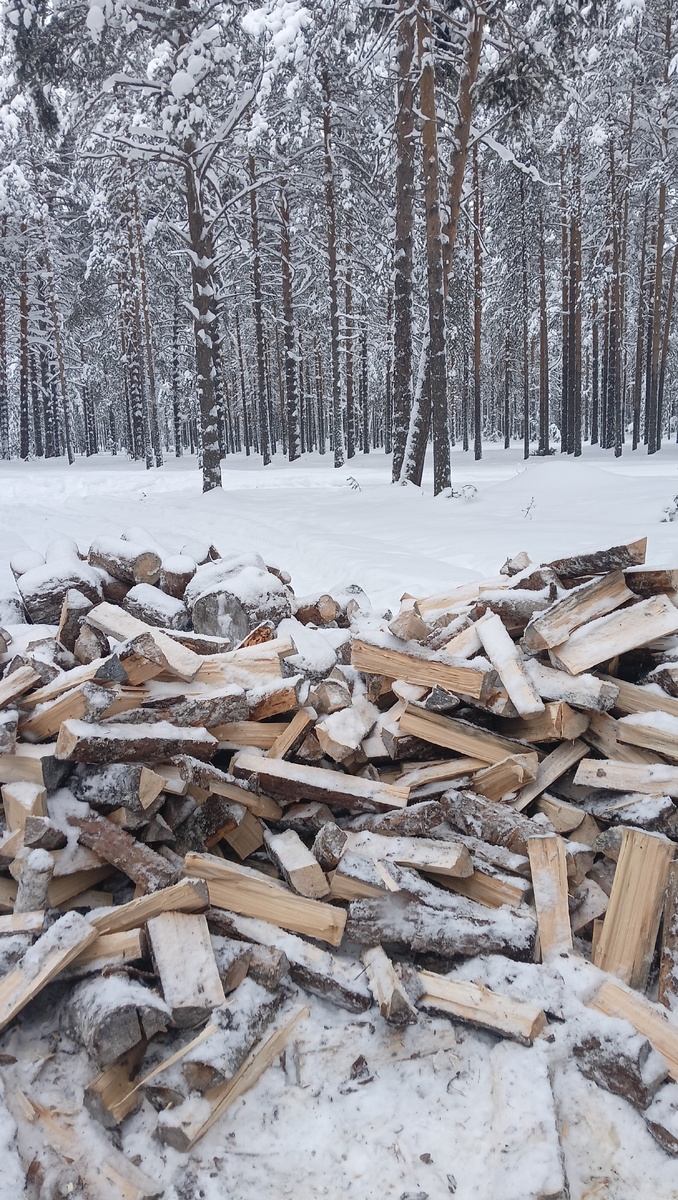 "артефакт терапии"