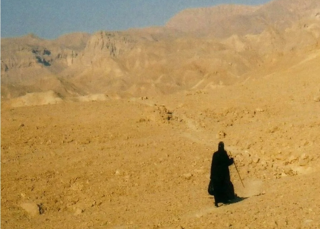 Из открытых источников