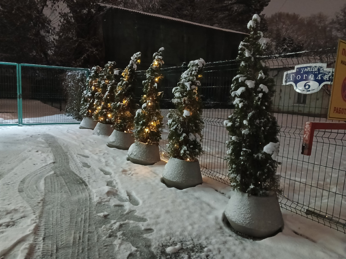 А снег идёт, а снег идёт. Фото Галины Малышевой.