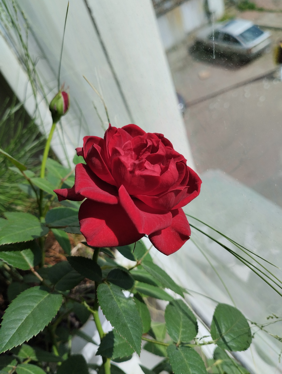 Фото из личного архива