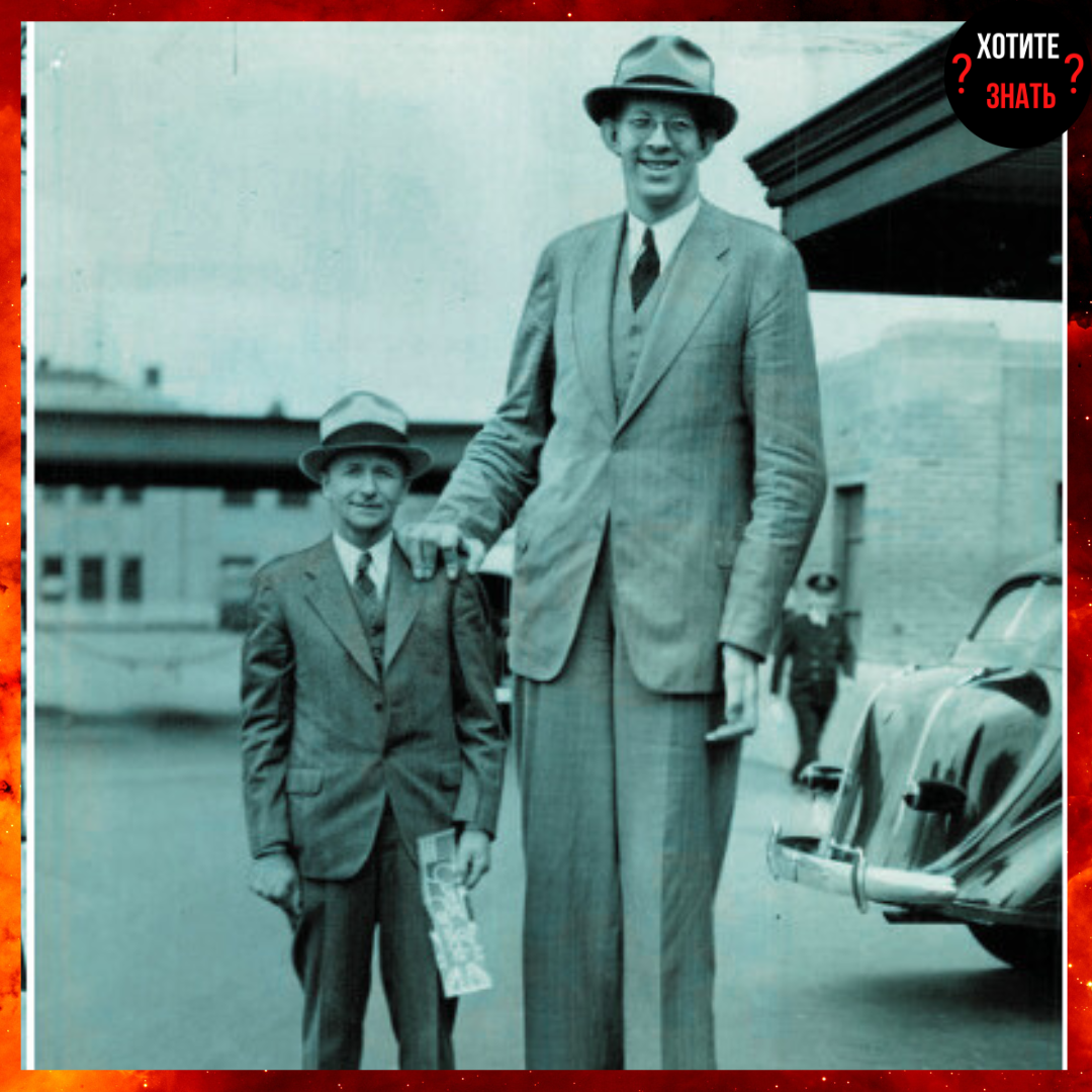 Роберт Уодлоу