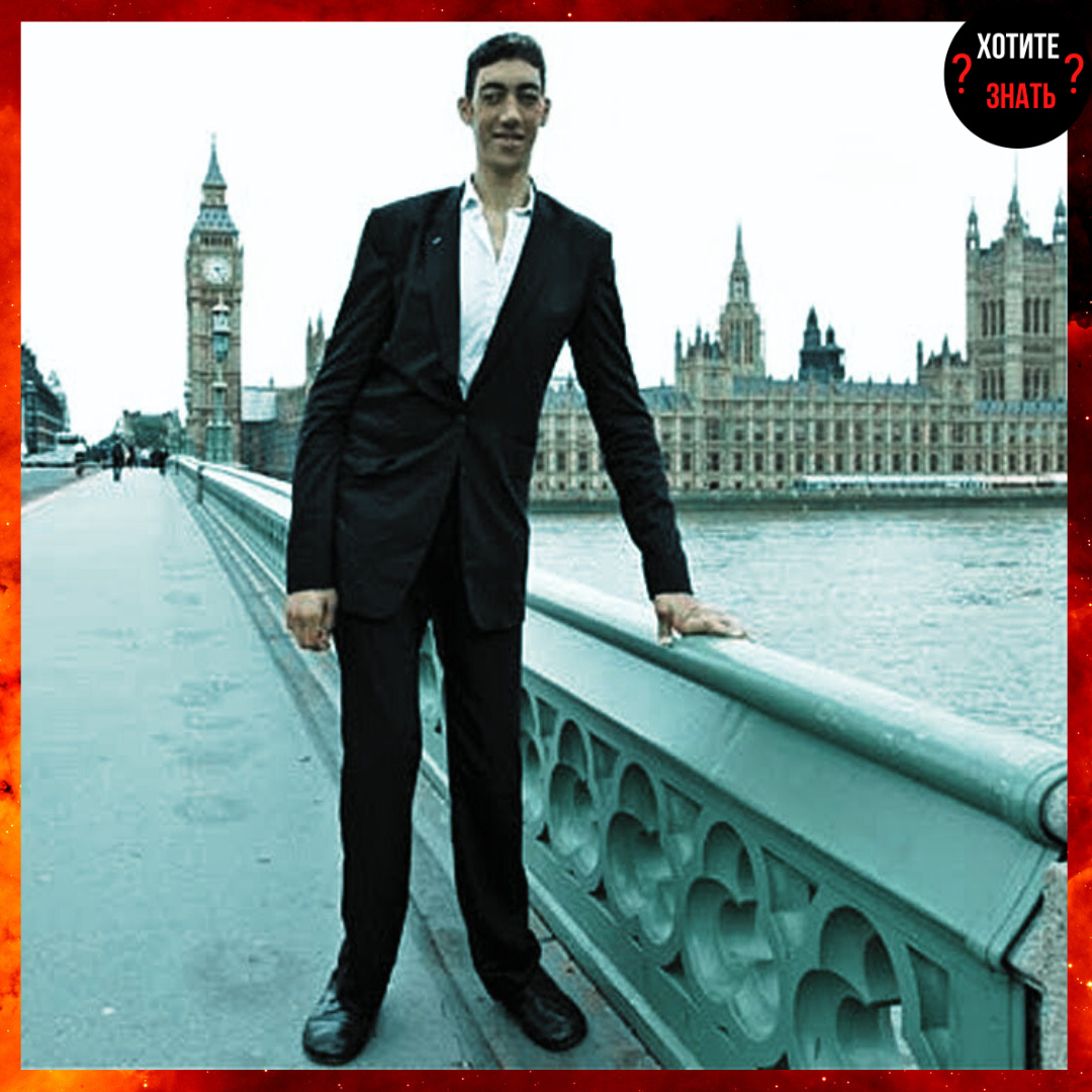 Султан Кёсен