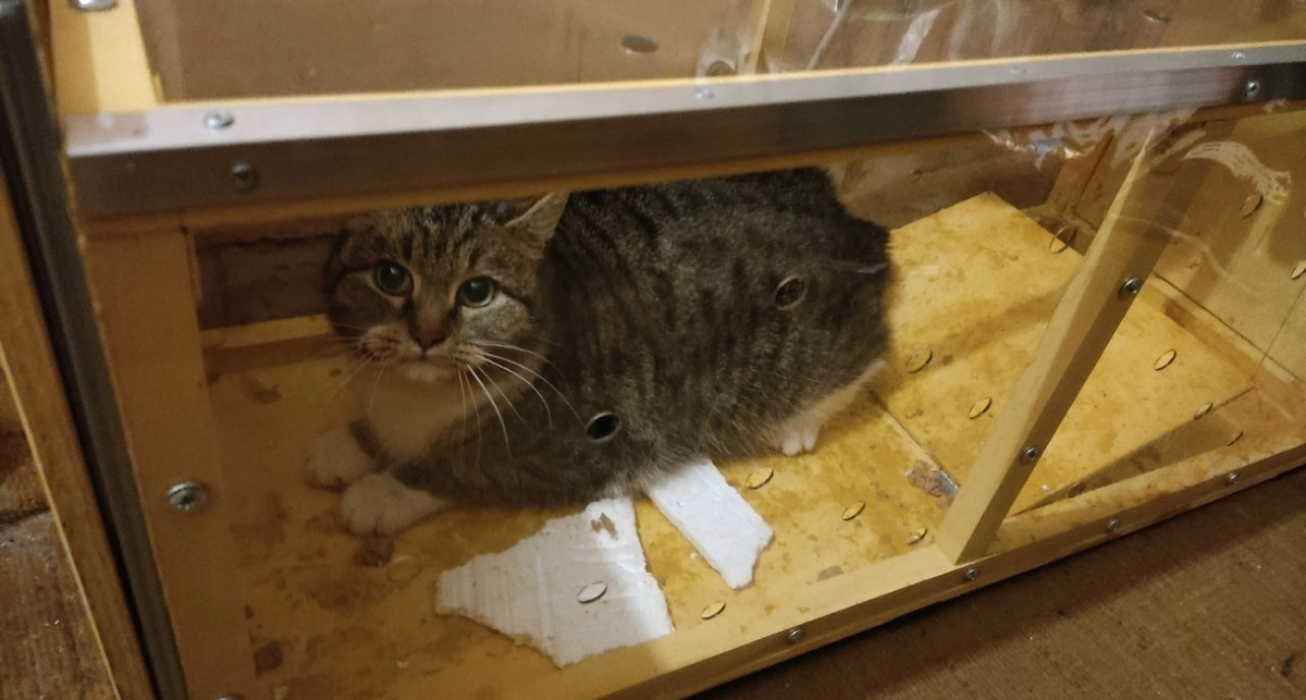    Подслушано в Ярославле