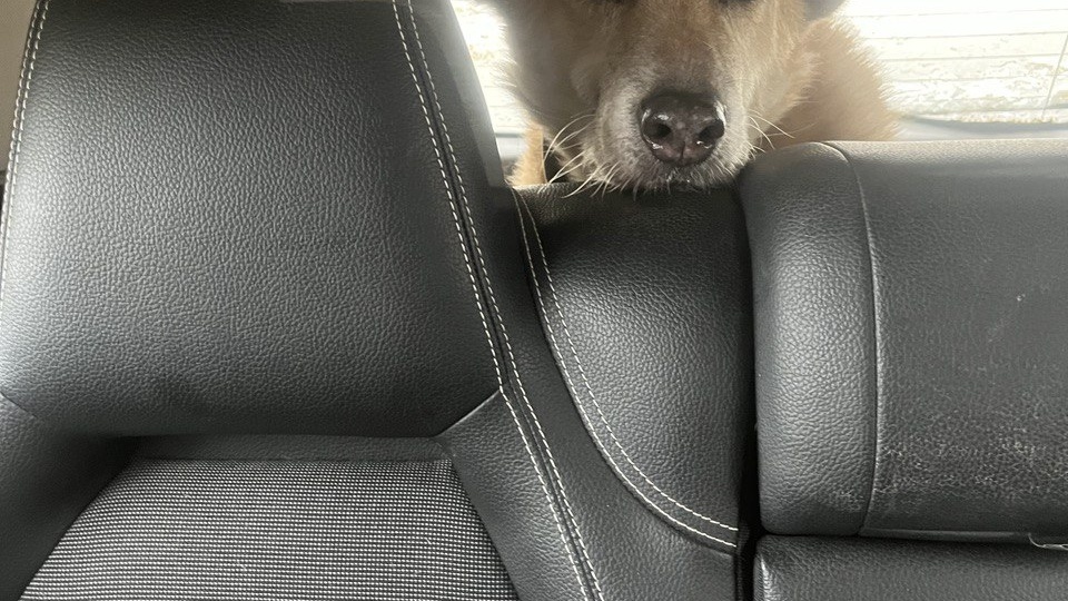 Лилу нужна помощь!