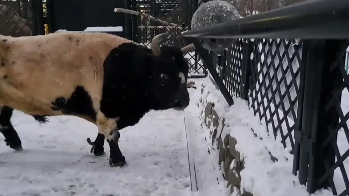    Фото: пресс-служба Ленинградского зоопарка