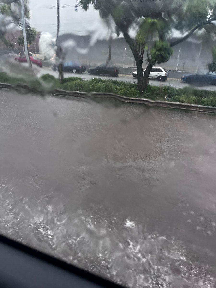 Из окна автобуса казалось, что город совсем ушел под воду