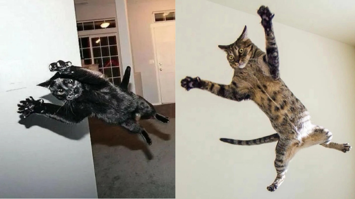 Нападение из-за угла