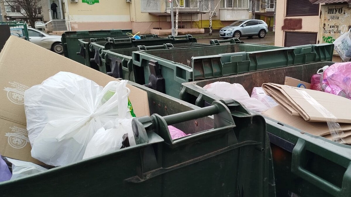    Фото: телеканал «Краснодар»