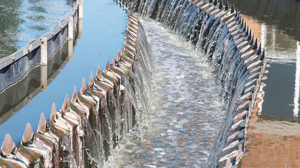 Фото: Олег Харсеев / Коммерсантъ