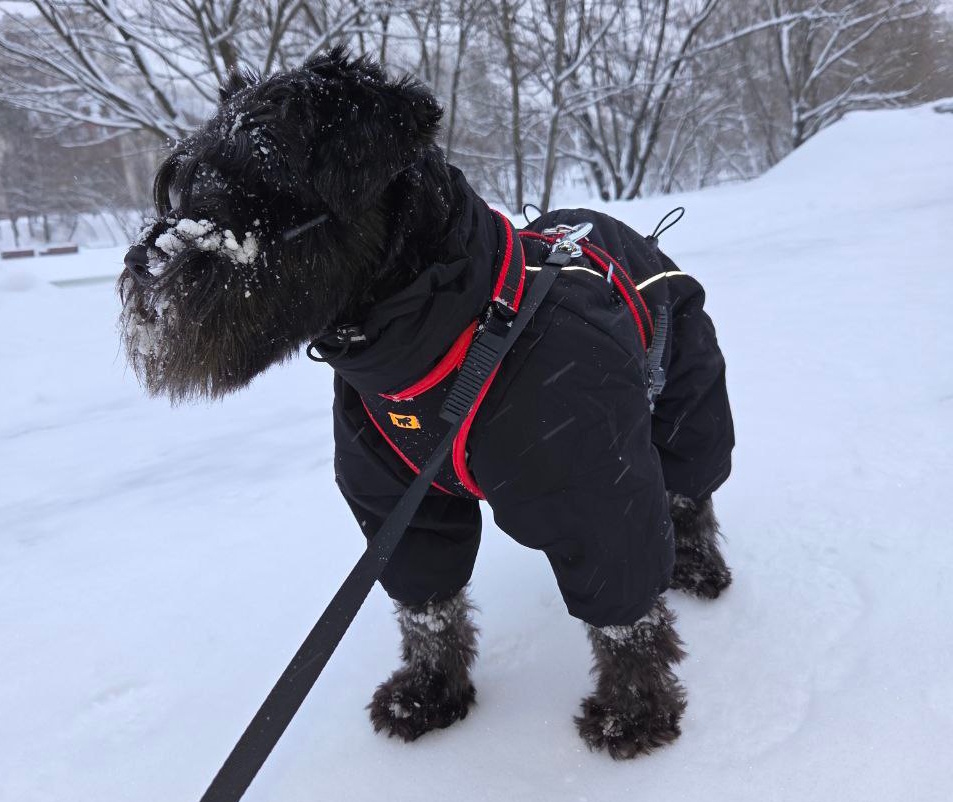 Максик красотунчик