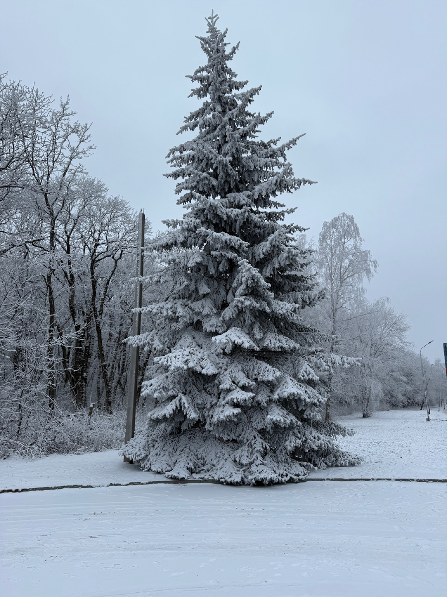 Невероятная красота на КМВ
