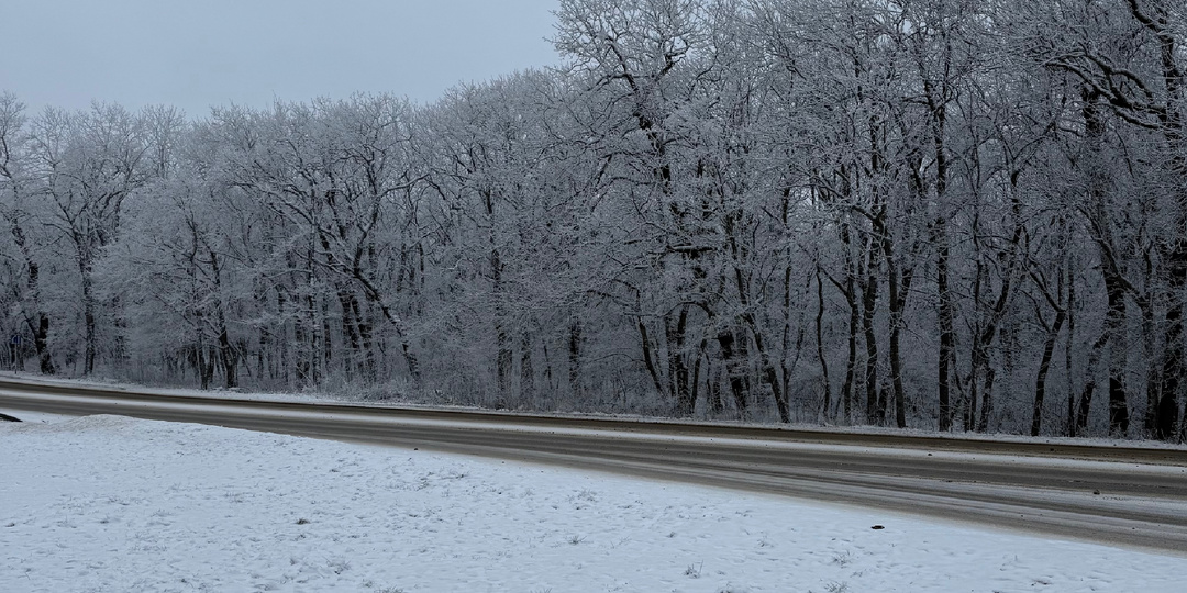 Январь 2026 года в Ессентуках не перестает удивлять