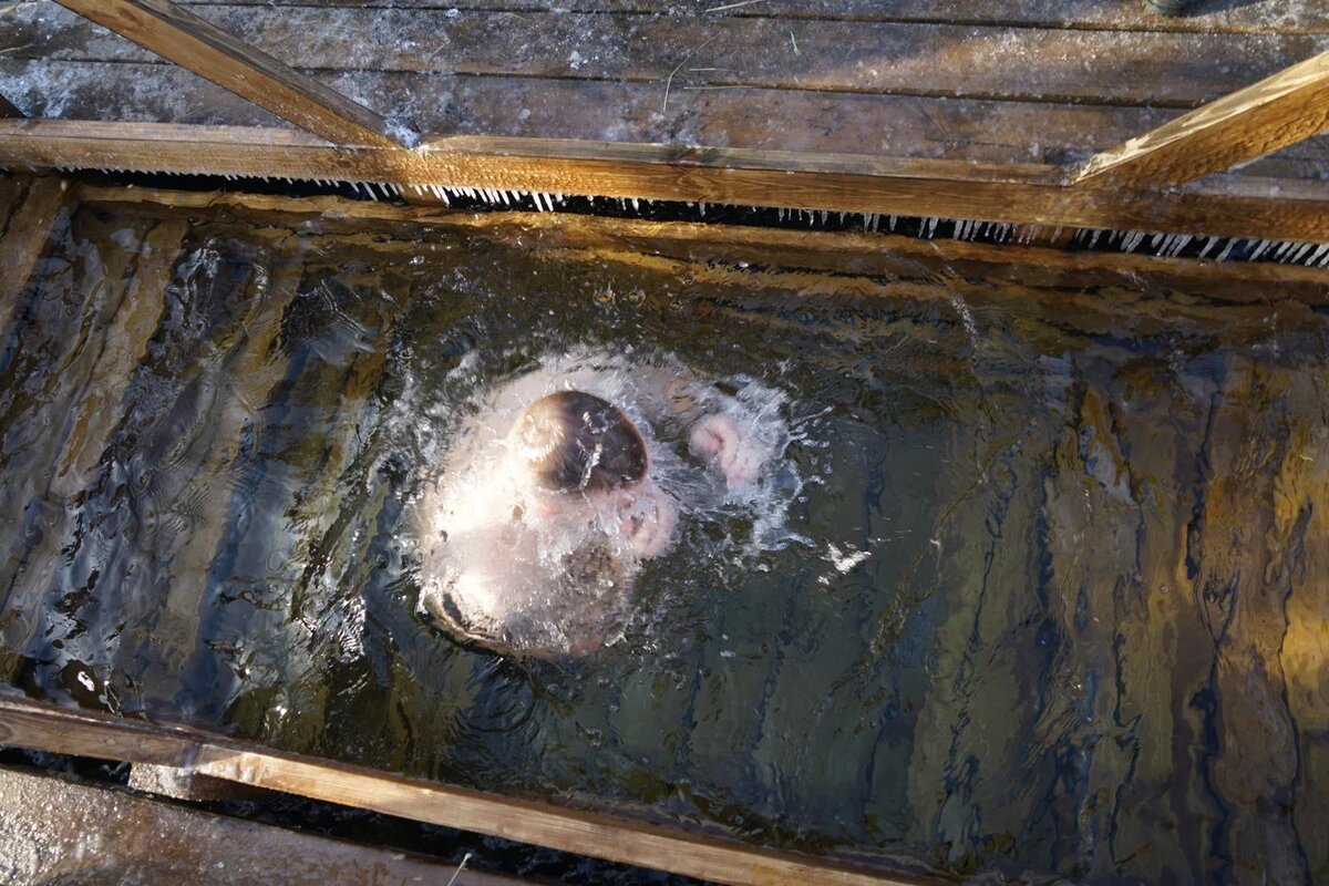 Фото: СибФМ Групп