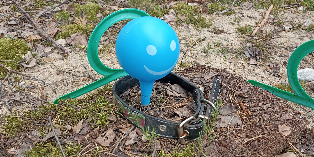 Последний приют ушедших на радугу