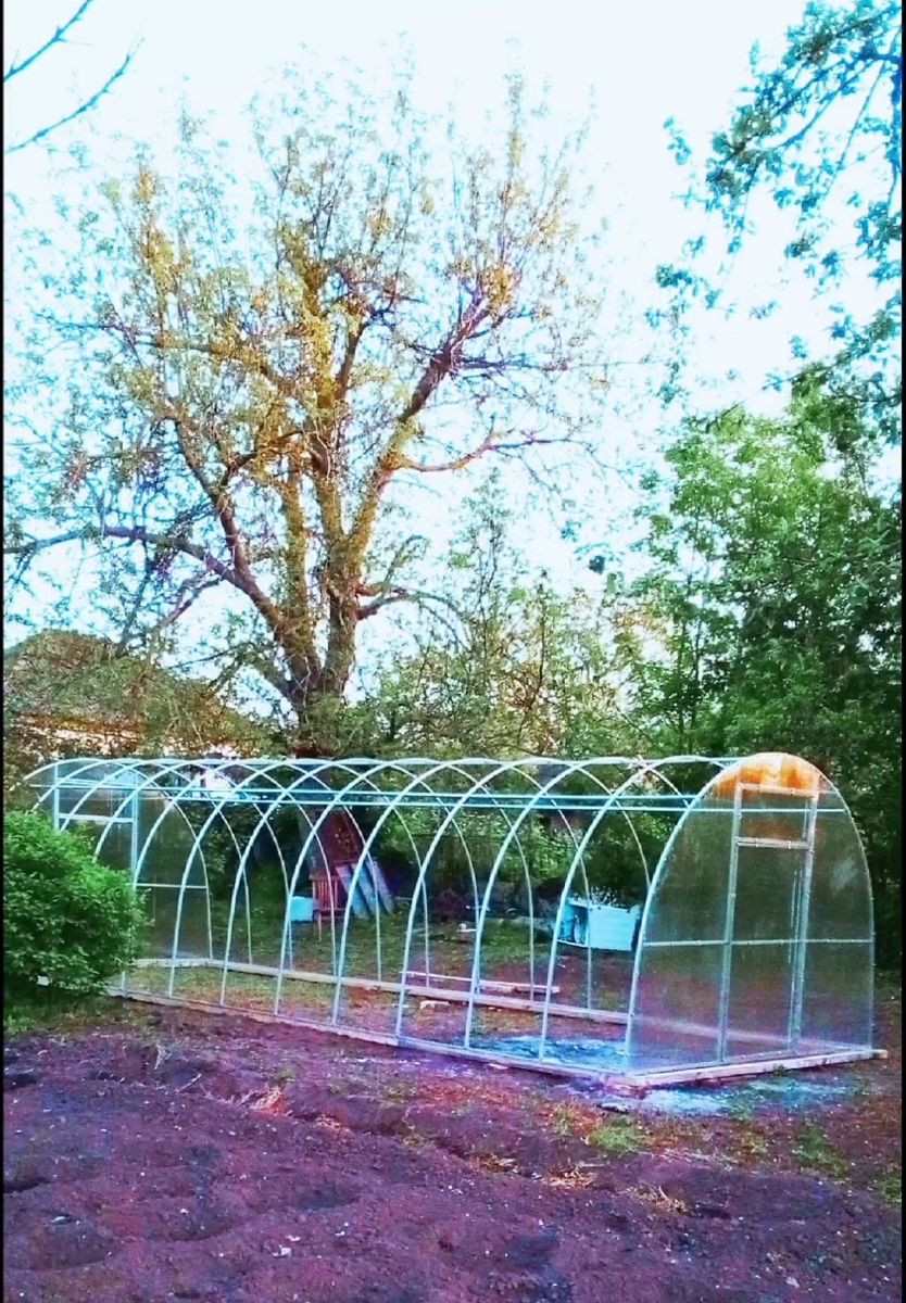 Поликарбонат, 3 на 8