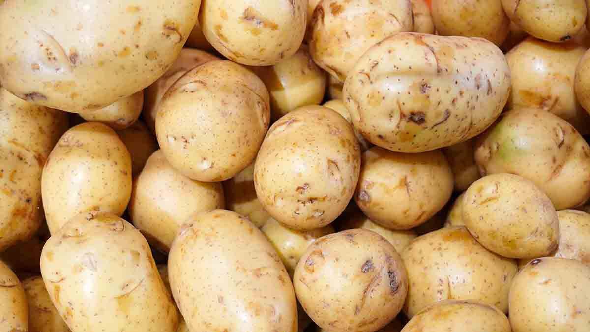    Фото: Александр Авилов / АГН Москва