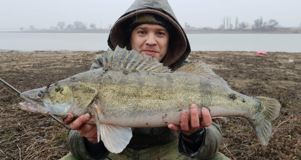 Фото с сайта: https://punkt-a.info/news/novosti-kratko/astrakhantsu-na-rybalke-popalas-takaya-ryba-chto-on-ne-poveril-svoim-glazam