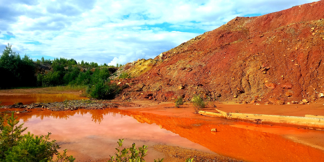 Кузбасские подсолнухи, уголь и Марс