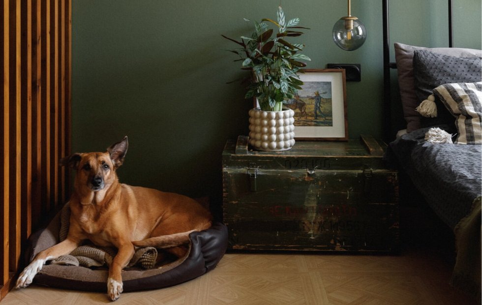 Дизайн: Нина и Андрея Харины