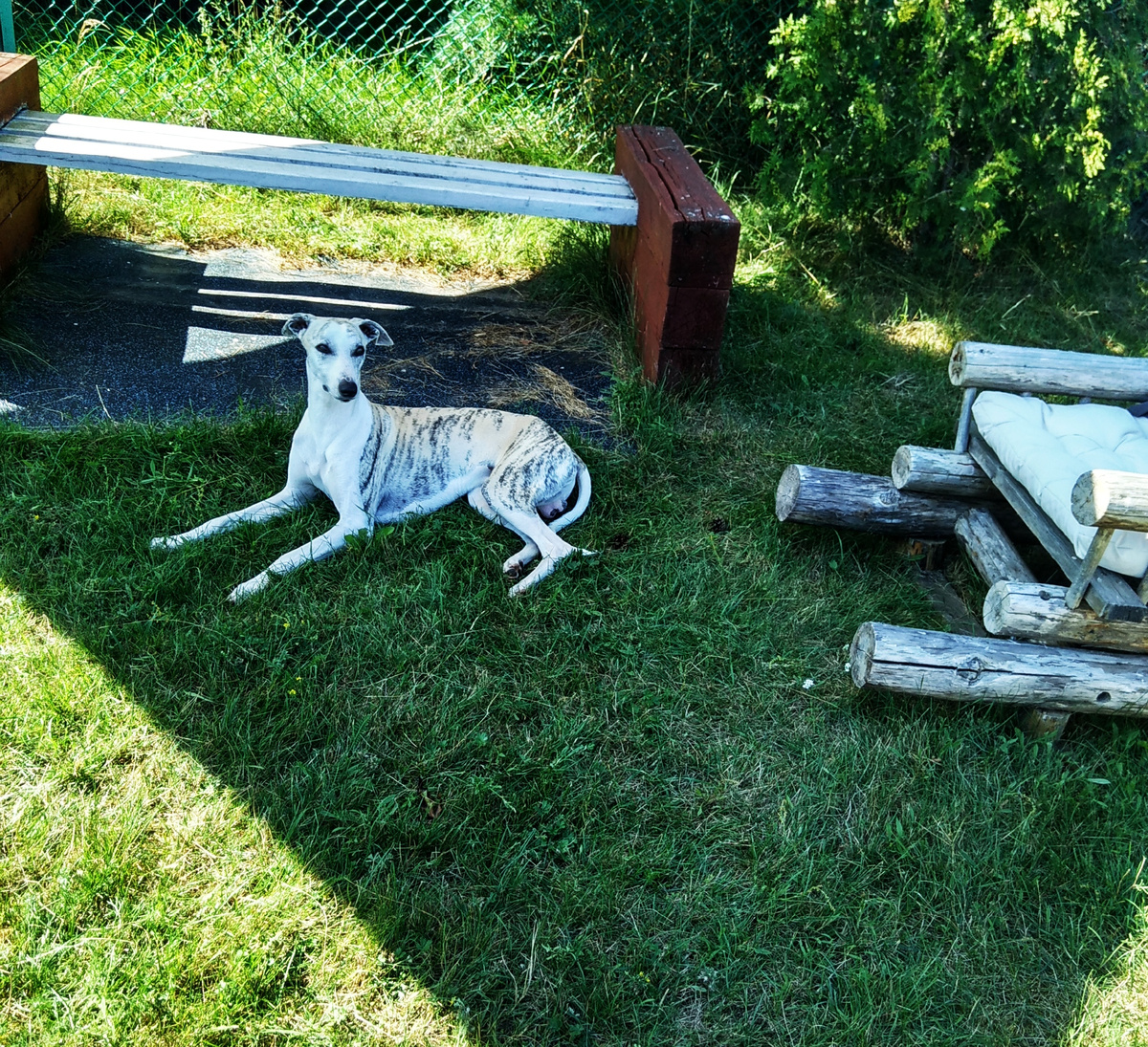 Валяйся- не хочу!