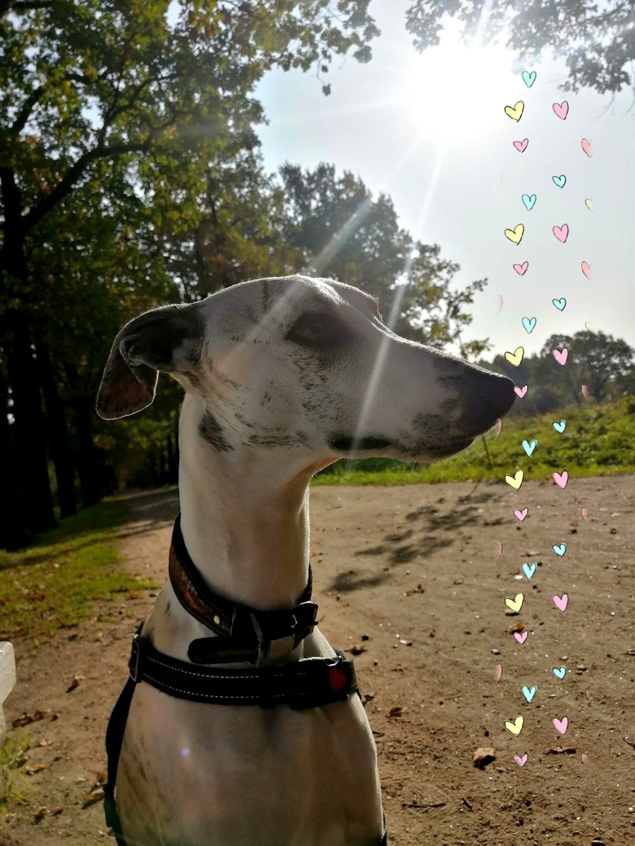 Красавчик, что тут скажешь)