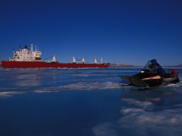    © Фото : Paul Nicklen/National Geographic Stock / WWF-Canada