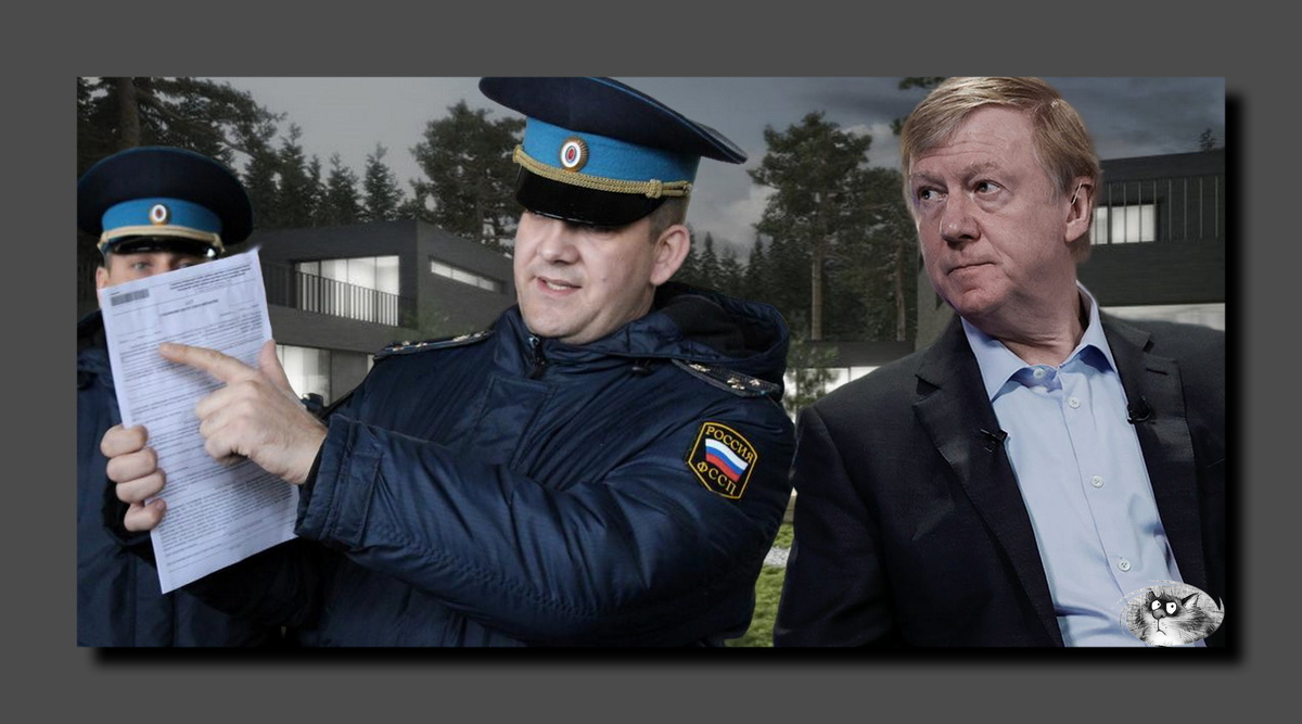 Анатолий Чубайс и судебные приставы. Коллаж автора