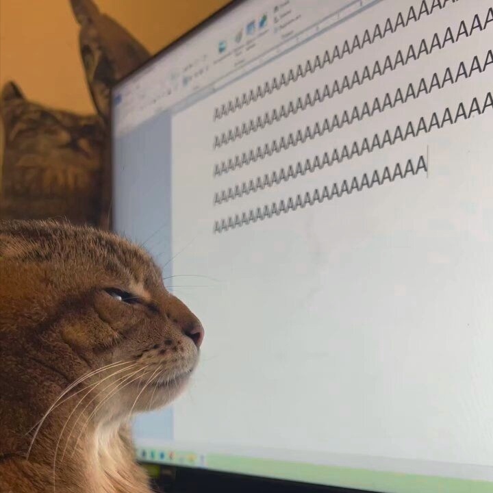 На добрый привет — добрый ответ.